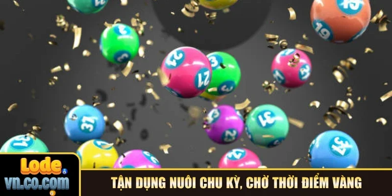 Tận dụng nuôi chu kỳ, chờ thời điểm vàng